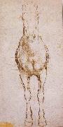 LEONARDO da Vinci Study of the proportion of horses oil painting picture wholesale